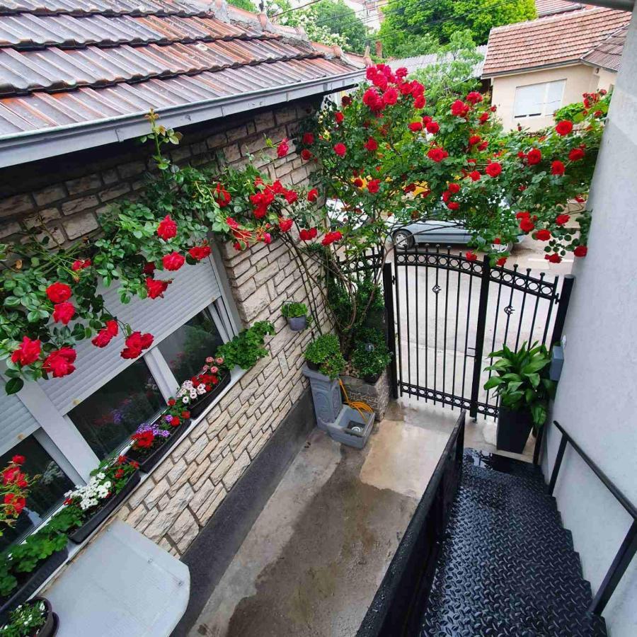Fortress Apartments Ni Eksteriør bilde