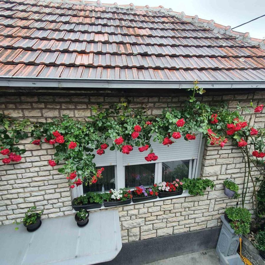 Fortress Apartments Ni Eksteriør bilde